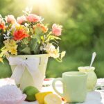 Summer holiday care