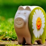 the cost of home care