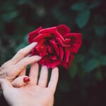 The late stages of dementia