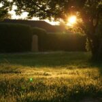 What does an overnight carer do?