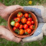 living with someone with dementia