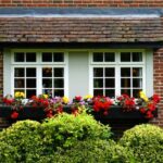 home carer or care home