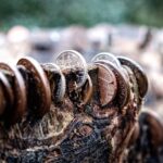 the cost of respite care