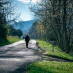 what are stroke symptoms